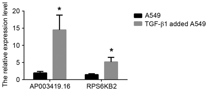 Figure 5.