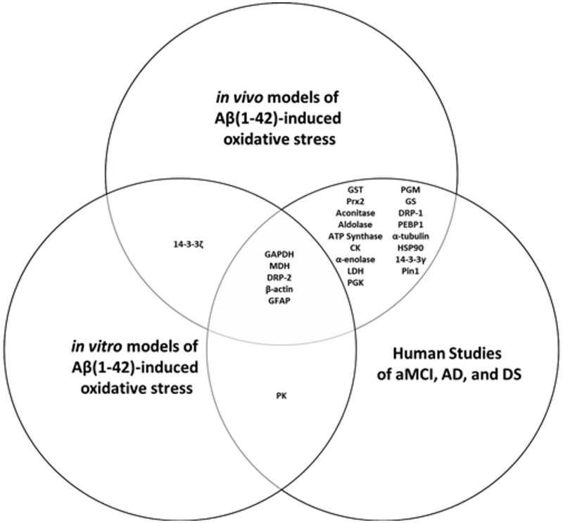 Figure 3: