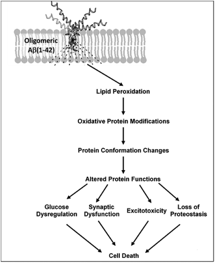 Figure 6: