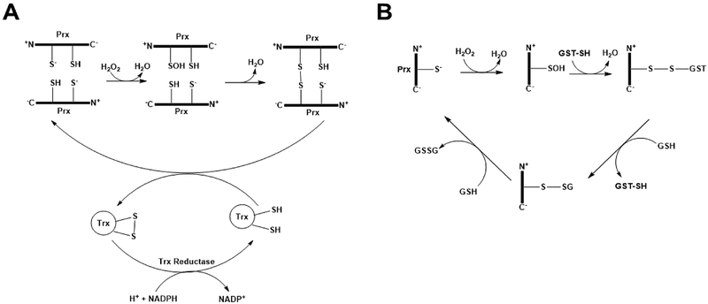 Figure 4: