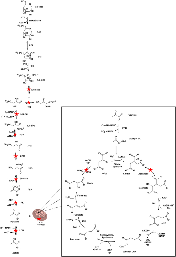 Figure 5: