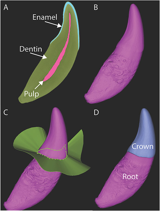 Figure 2: