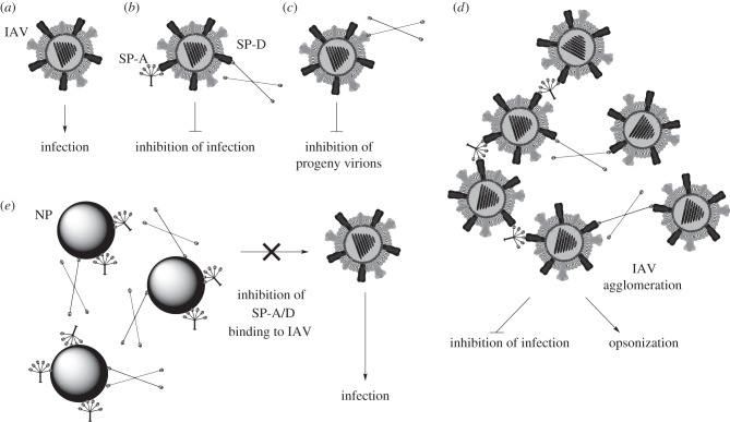 Figure 1.