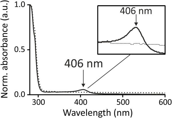 FIGURE 5