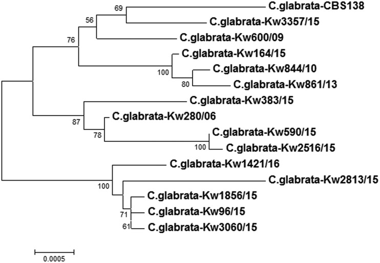 FIG 1