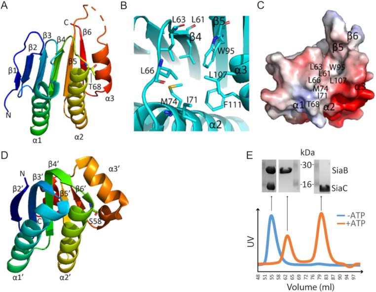 Fig 6