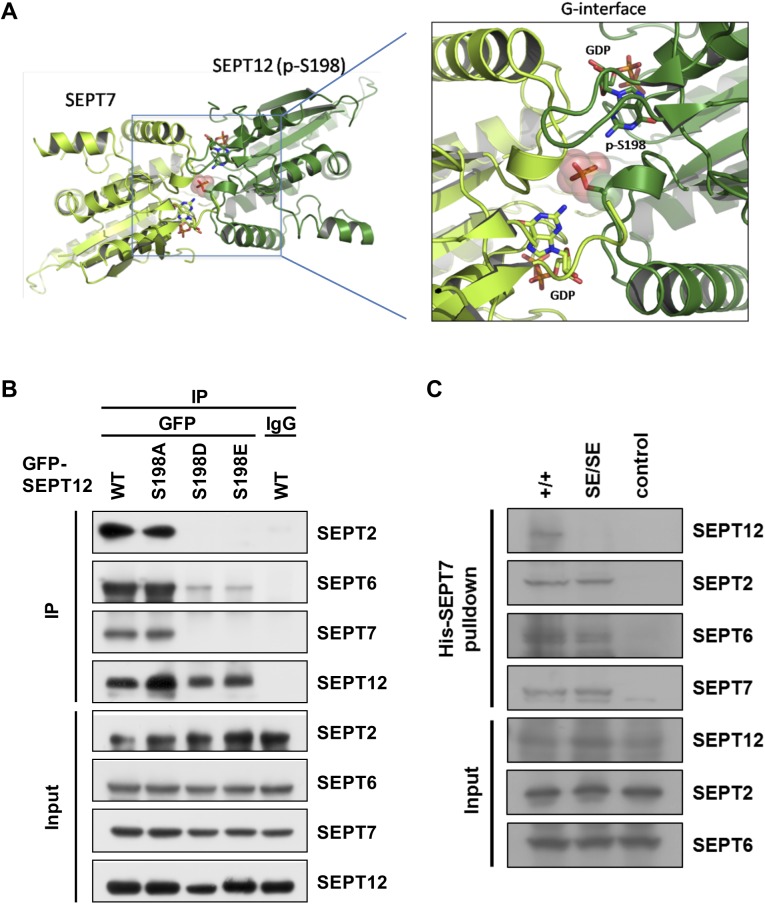 Fig 5