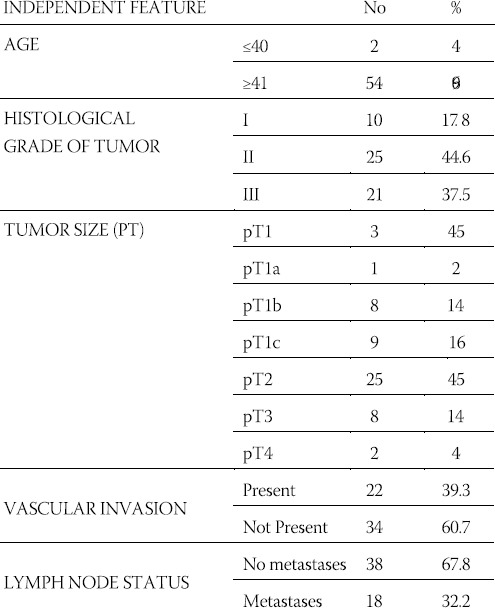 graphic file with name BJBMS-5-3-g001.jpg