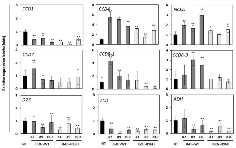 Figure 5