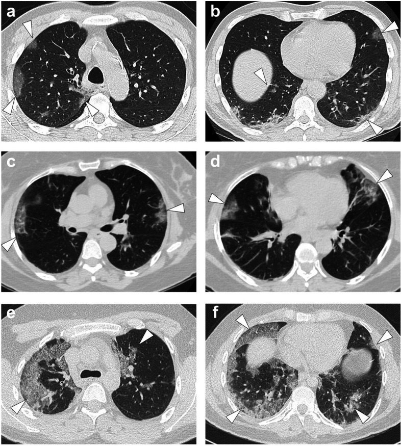 Fig. 6