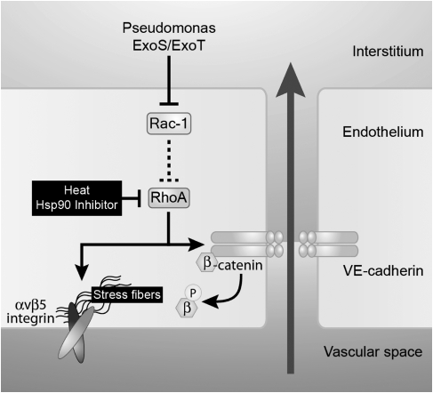 Figure 9.