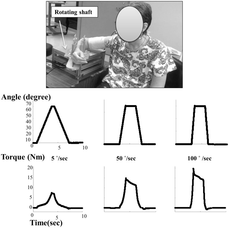 Figure 1