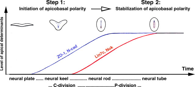 Figure 11.