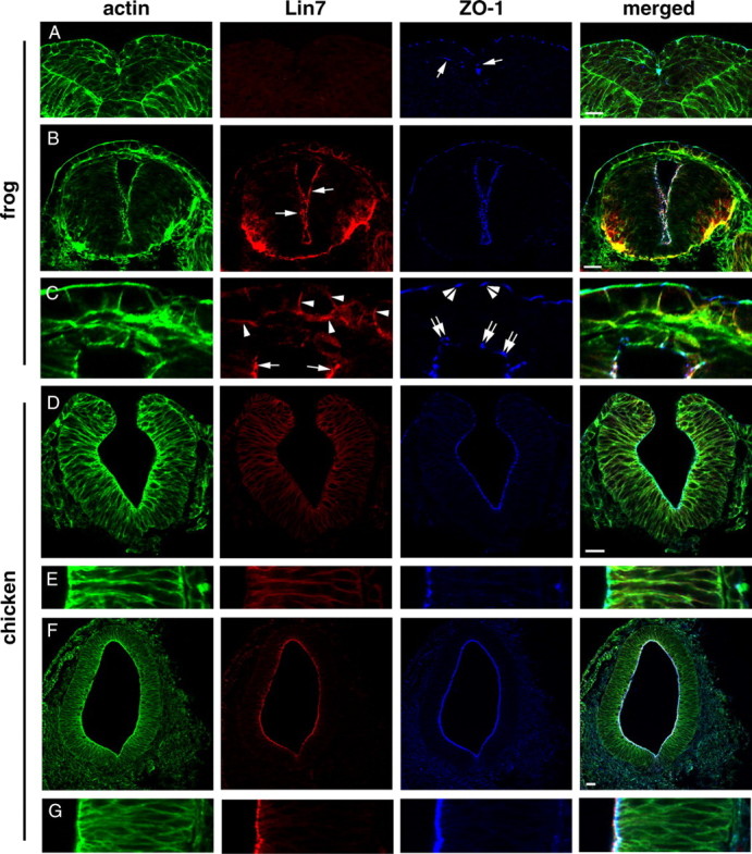 Figure 10.