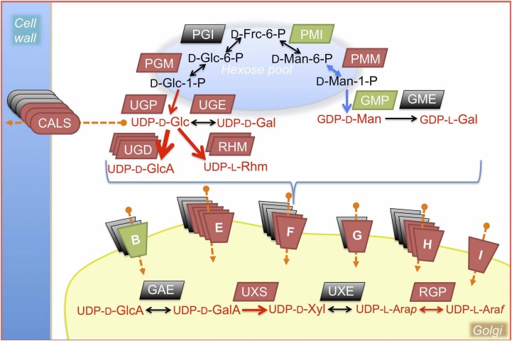 Figure 7.