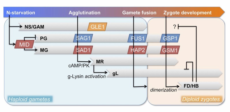 Figure 1.