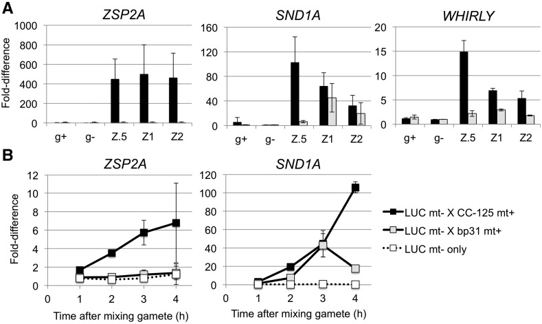 Figure 3.