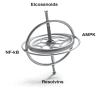 Fig. (2)