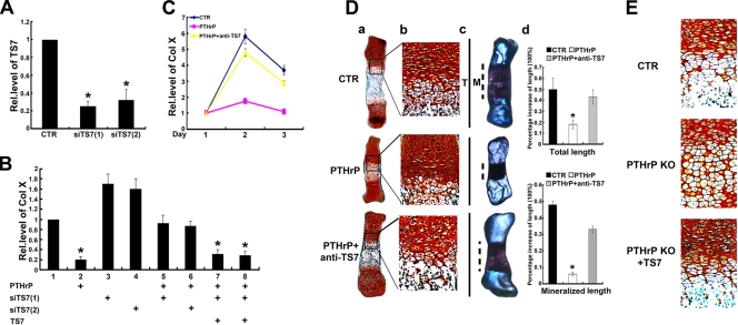 FIG. 8.