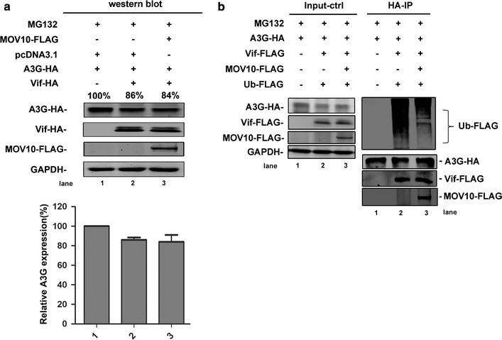 Fig. 3