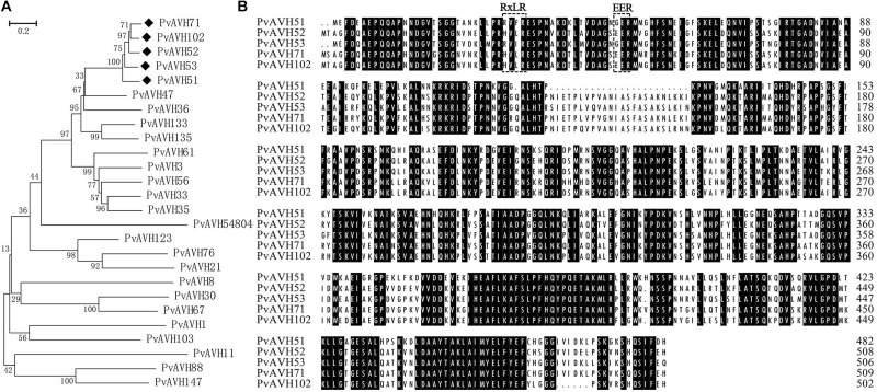 FIGURE 1