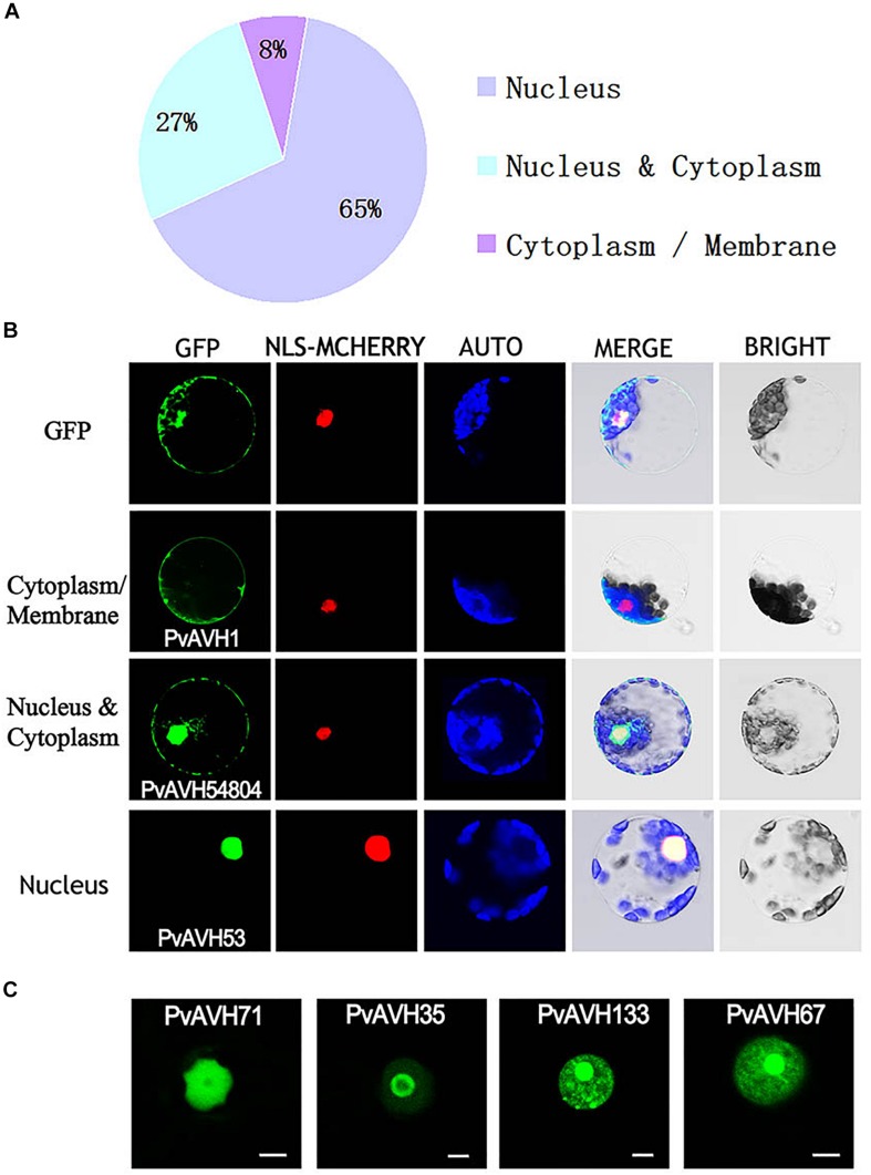 FIGURE 4