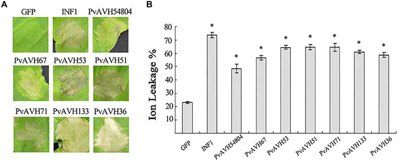 FIGURE 2