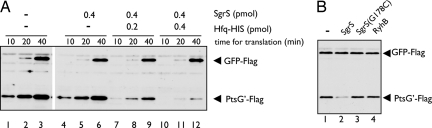 Fig. 3.