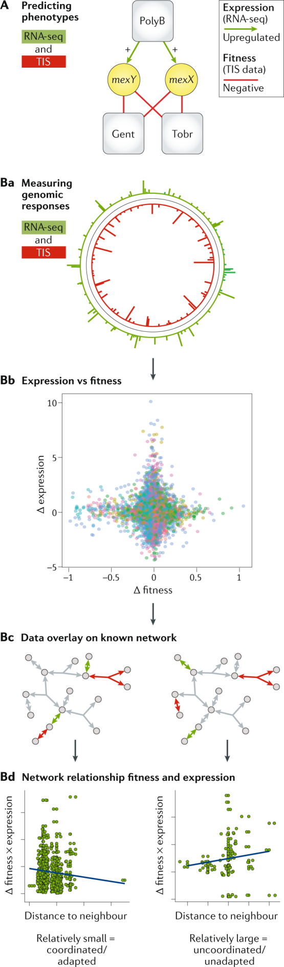 Fig. 7