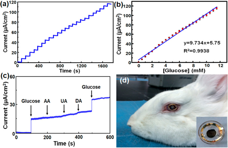 Figure 12