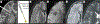 Fig 8.