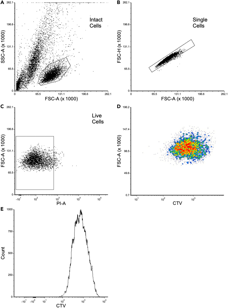 Figure 3