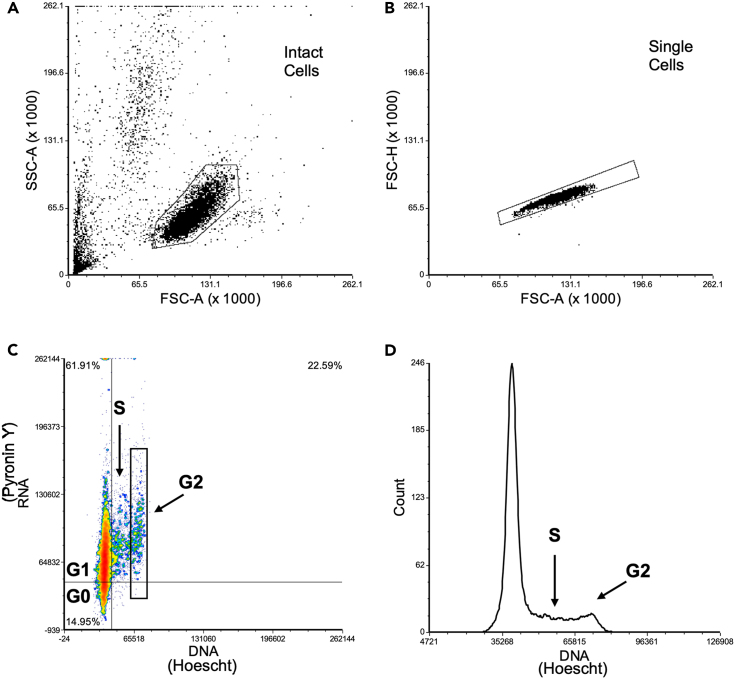 Figure 4