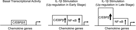 FIGURE 13.