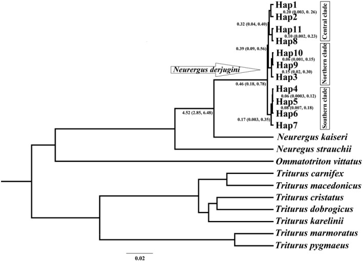 Figure 9