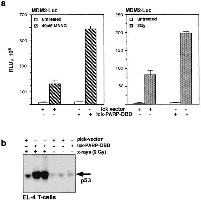 FIG. 7