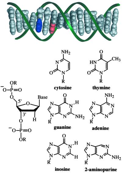 Fig 1.