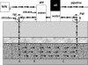 FIG. 1.