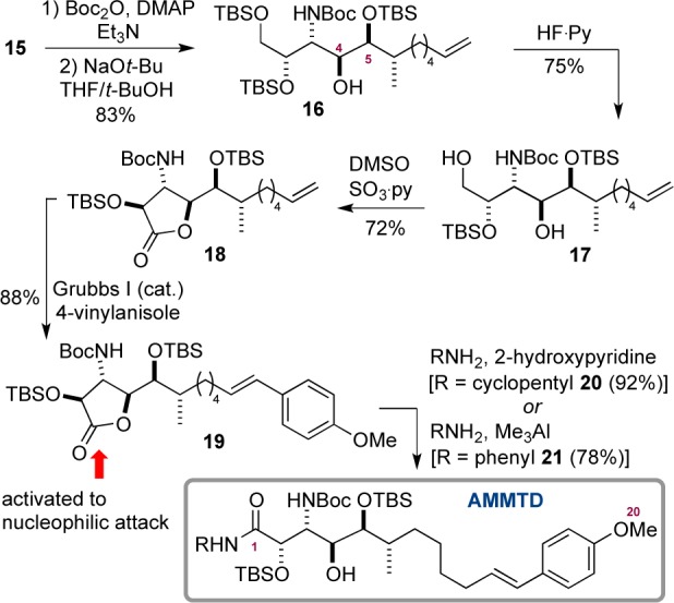 Scheme 6