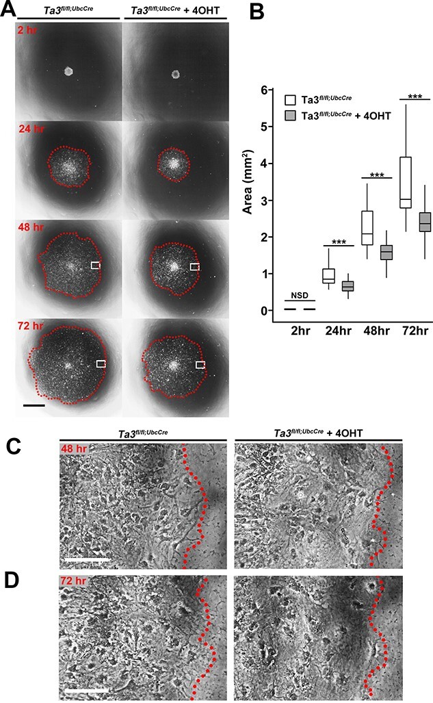 Figure 11