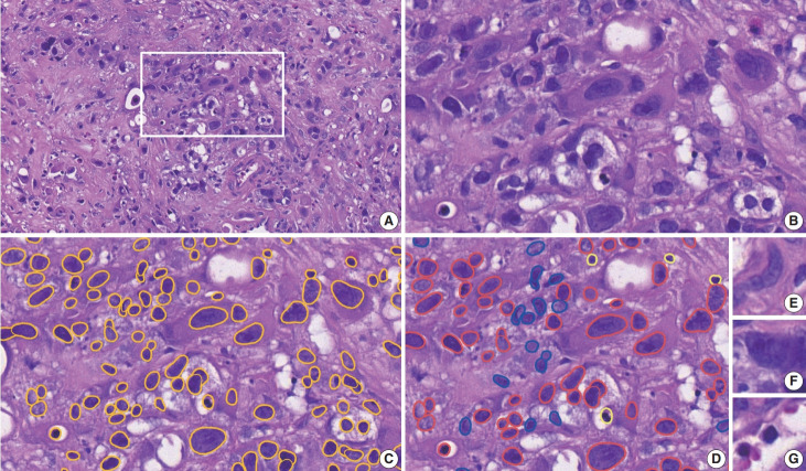 Fig. 2.