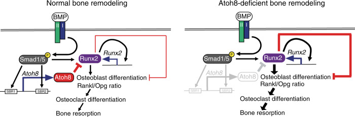 Fig. 9