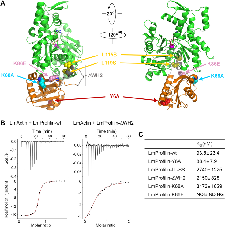 Figure 3