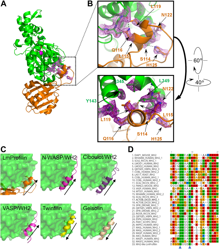 Figure 2