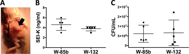 FIG 5