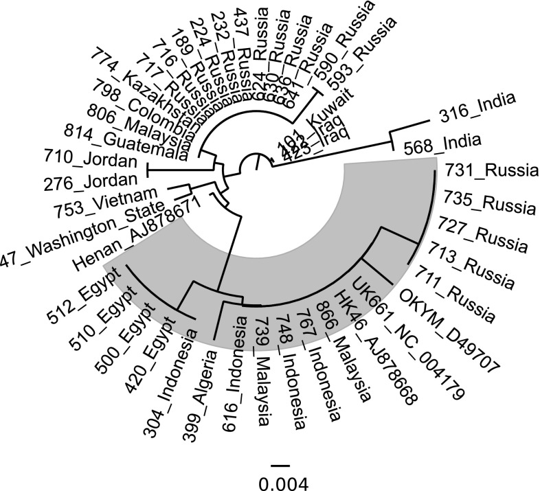 Fig. 3