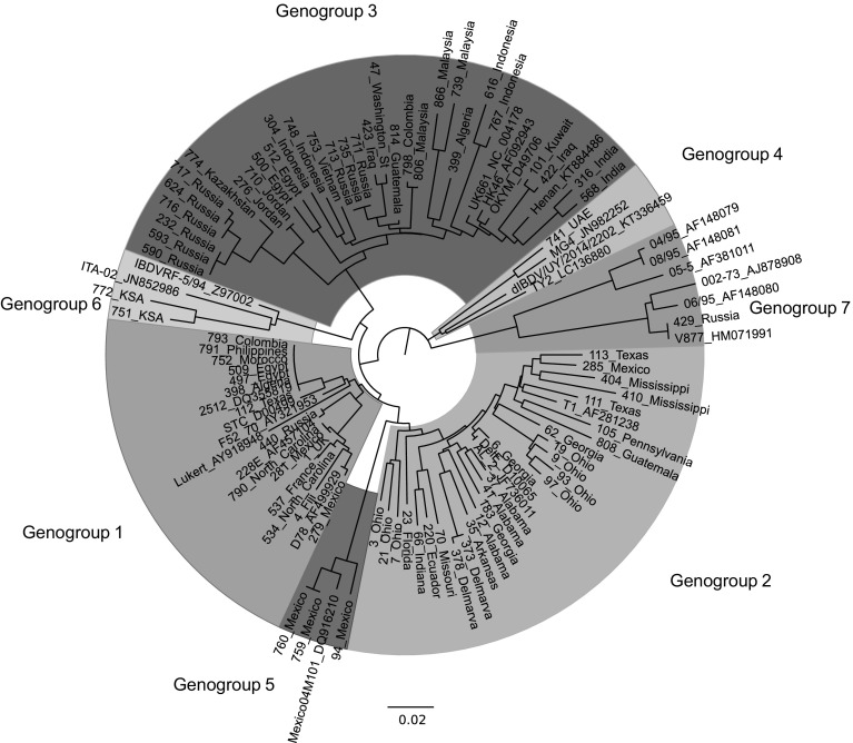 Fig. 1