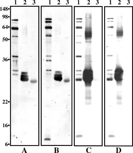 FIG. 5.