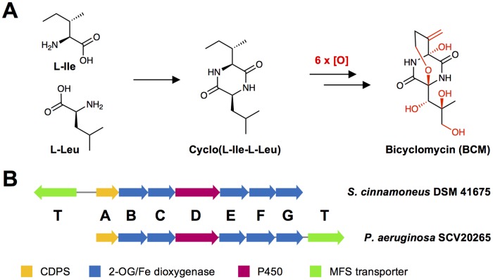 FIG 1