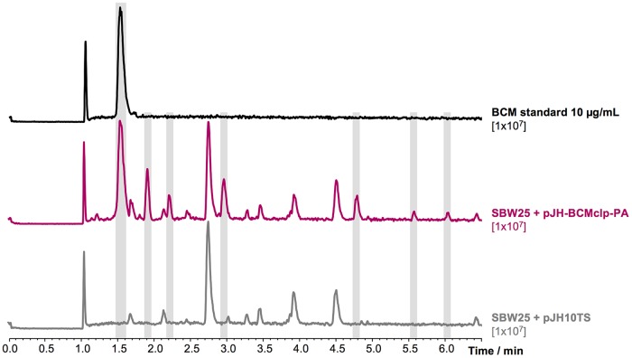 FIG 3